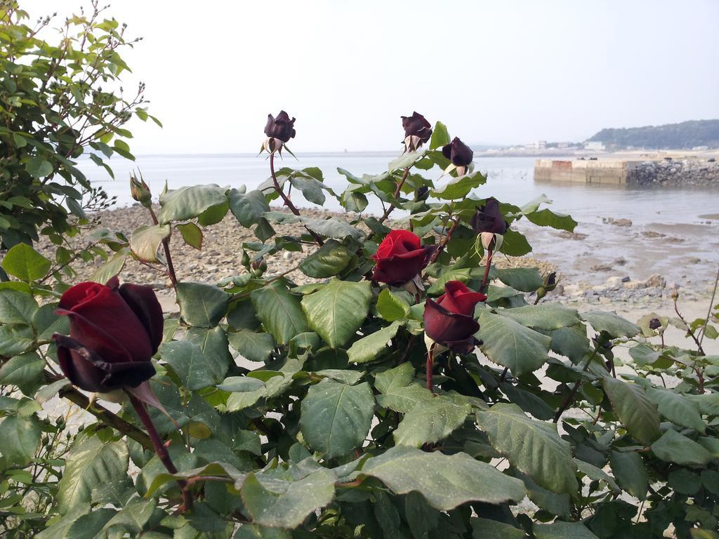 Yongdu Beach Pension Порён Экстерьер фото